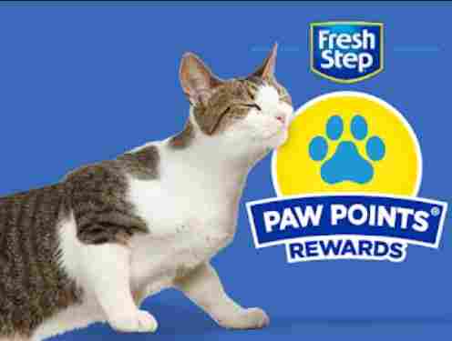 entered too many invalid codes for fresh step paw points